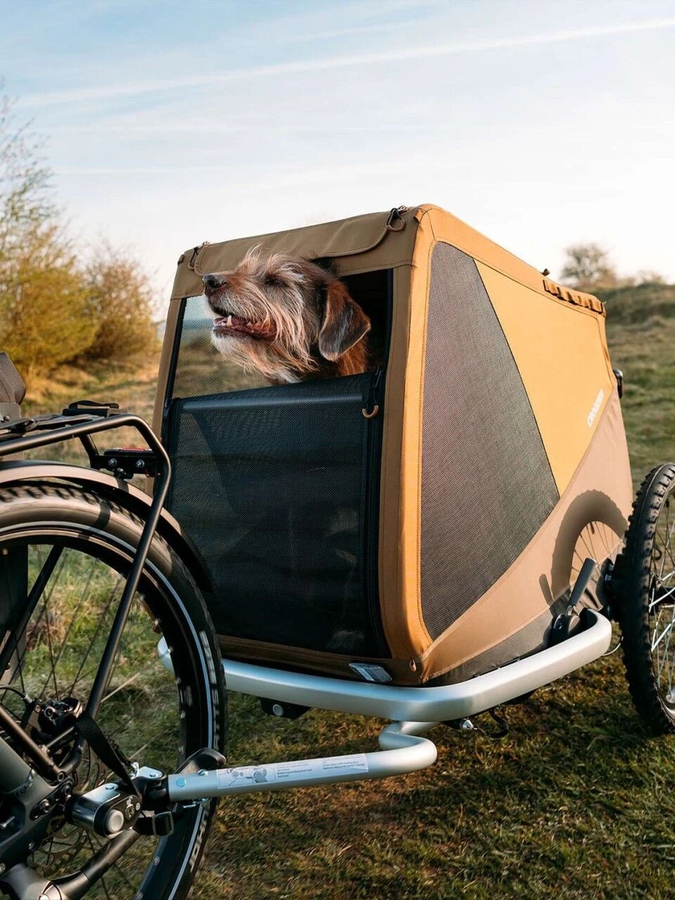 Croozer Dog Peppa 14 Croozer Dog Peppa - Image 12