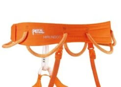 Petzl Hirundos -Trail Outfitters Shop C036BA00 HIRUNDOS focus 4 LowRes 1280x1280