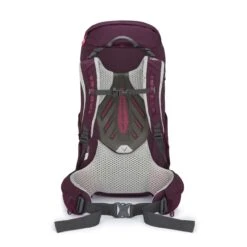 Lowe Alpine Cholatse ND30 -Trail Outfitters Shop Cholatse ND30 Fig FMQ 38 FG 30 CarrySystem 1280x1280