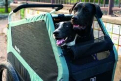 Burley Bark Ranger -Trail Outfitters Shop SS23BarkRanger 840840014115 05 1280x1280