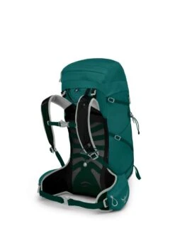 Osprey Tempest 30 -Trail Outfitters Shop Tempest 30 S21 SideBack Jasper Green 1280x1280