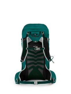 Osprey Tempest 34 -Trail Outfitters Shop Tempest 34 S21 Back Jasper Green 1280x1280